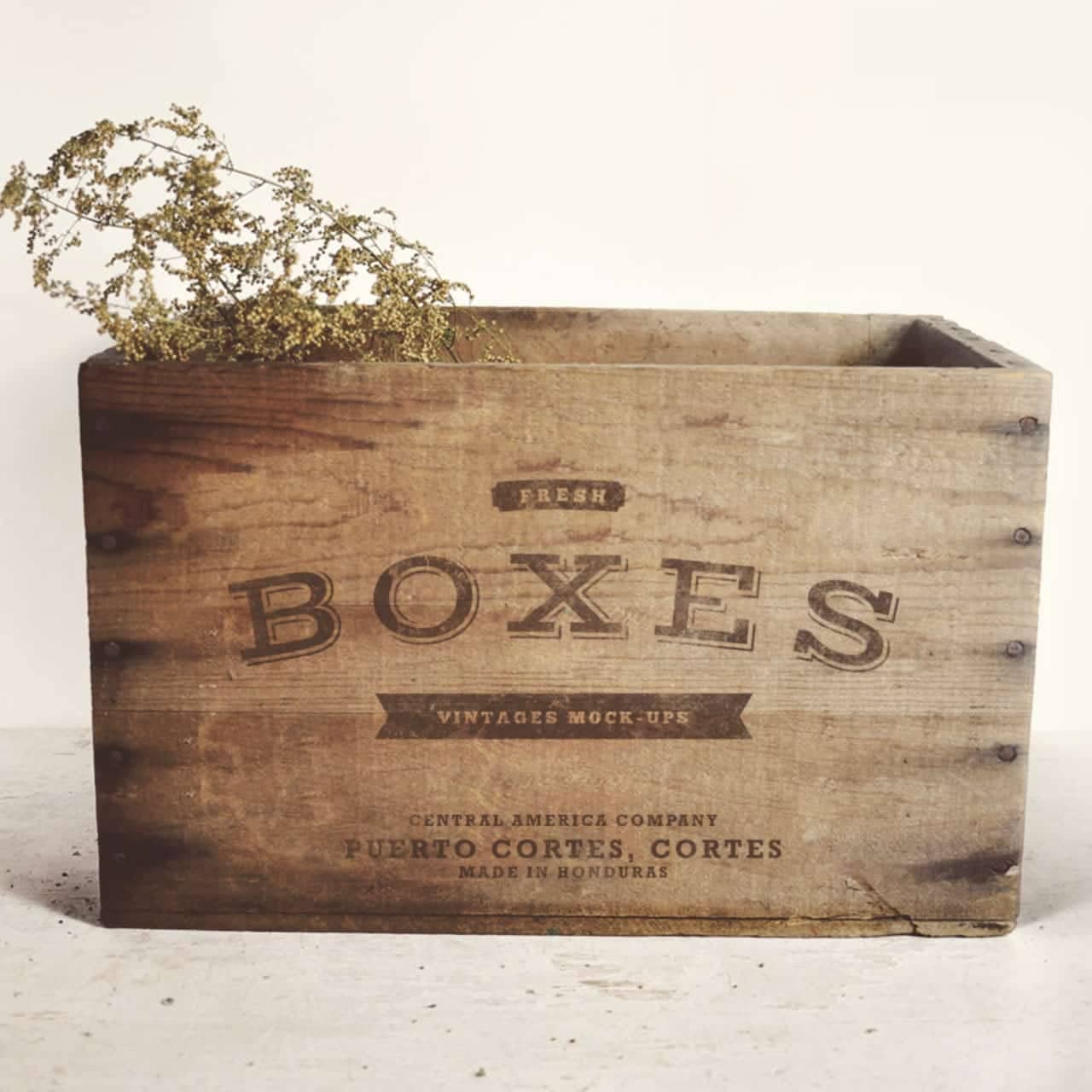 Vintage Box Vintage Box